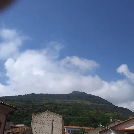 Gianfranco * Bortigali